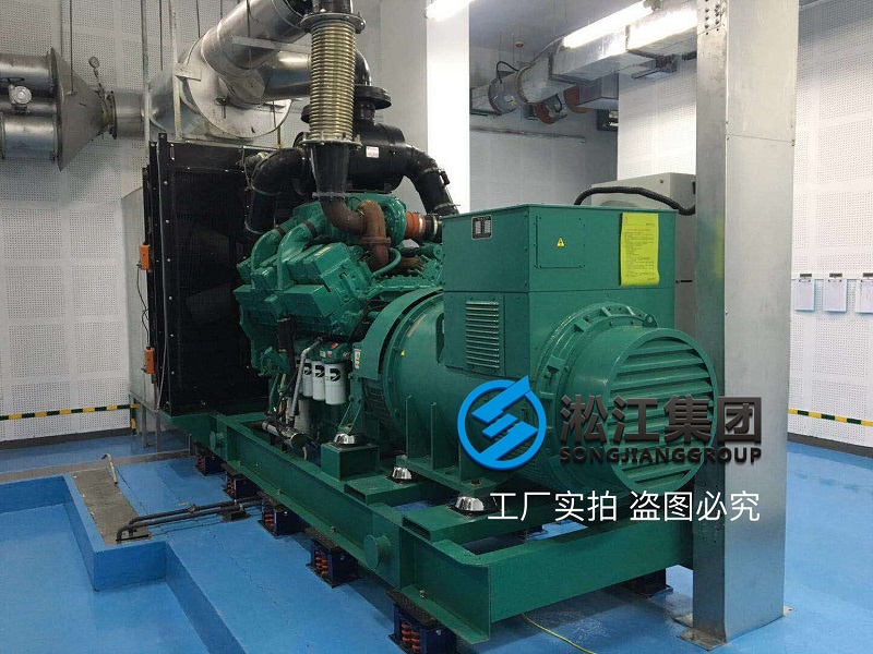 阻尼彈簧減震器大型柴油發電機安裝案例 阻尼彈簧減震器大型柴油發電機安裝案例