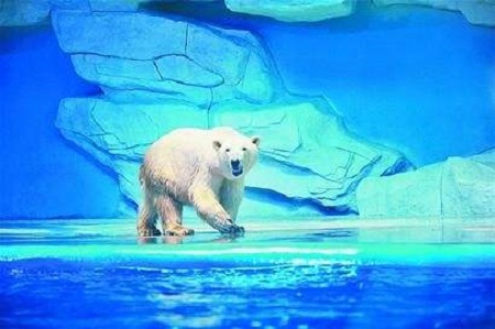 如何打造海洋極地世界維生系統(tǒng)? 如何打造海洋極地世界維生系統(tǒng)?